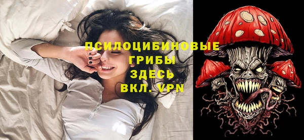 прущие крисы Белокуриха