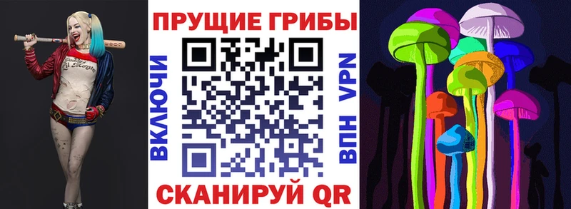 Галлюциногенные грибы Psilocybe Кашира